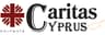 Company name