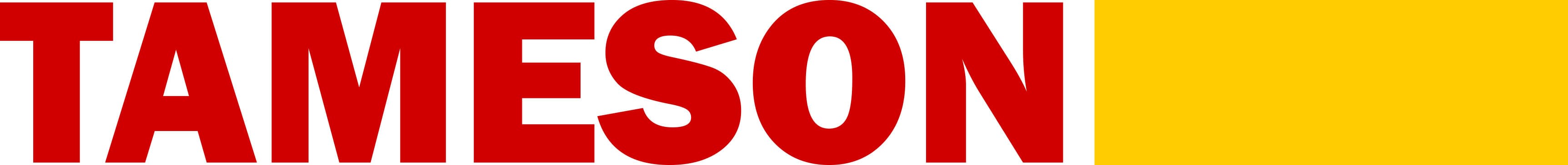 company's logo