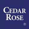 Company name
