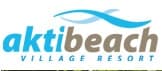 company's logo