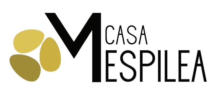 company's logo