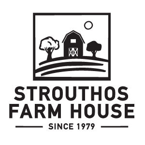 company's logo