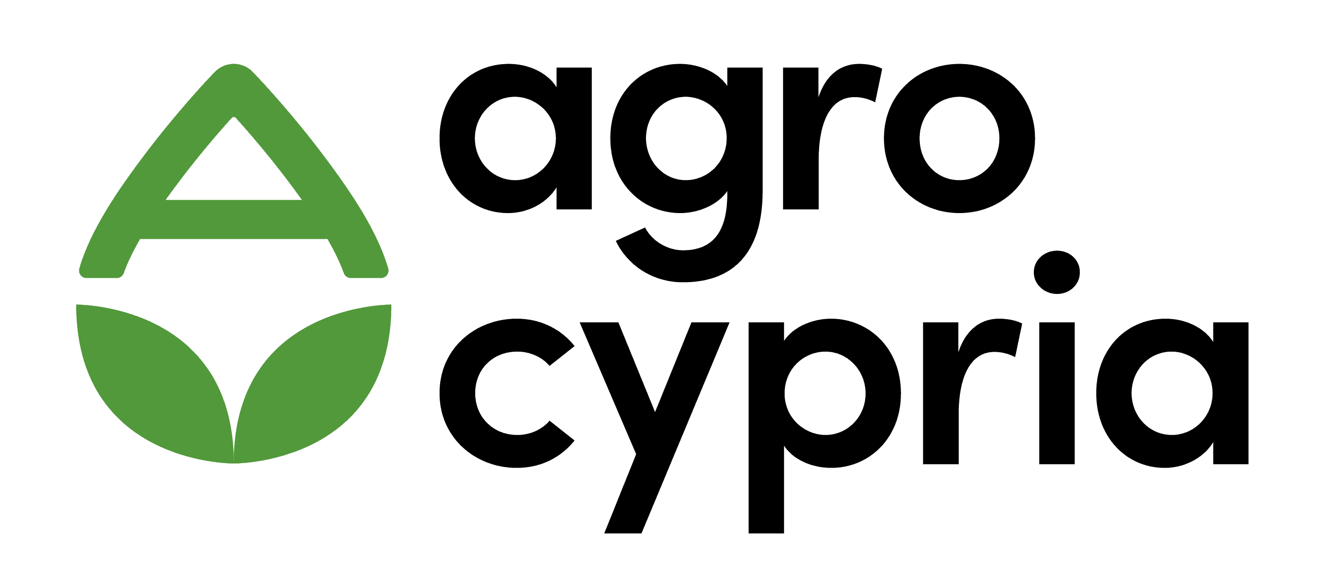 company's logo