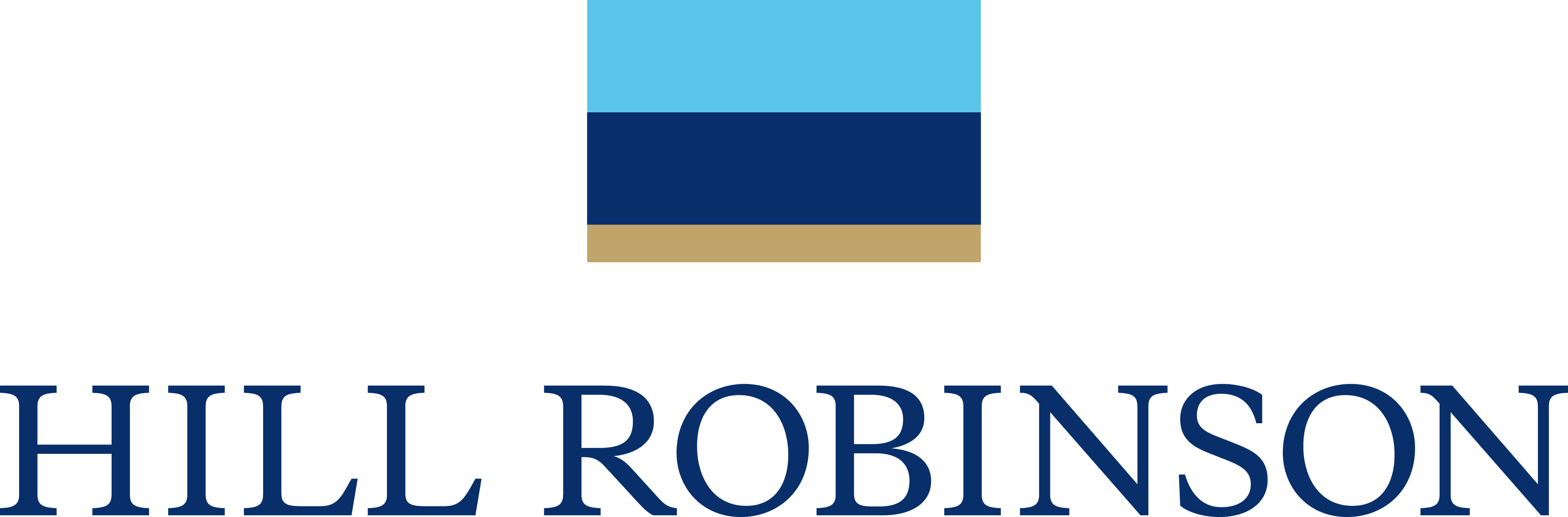 company's logo