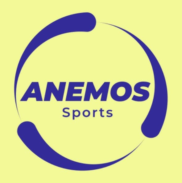 company's logo