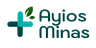 Company name