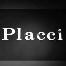 company's logo