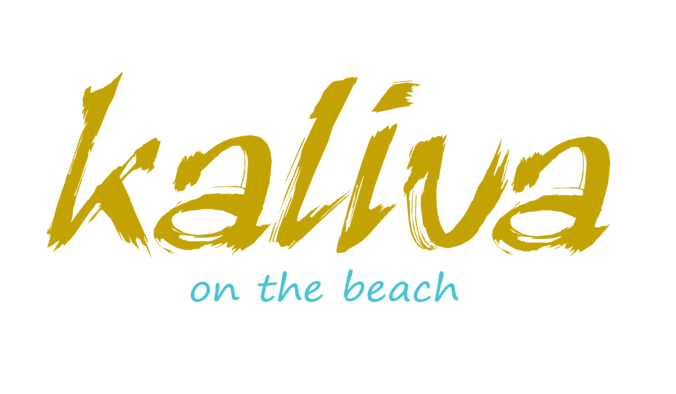 company's logo