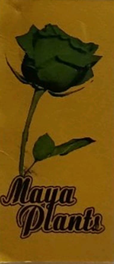 company's logo