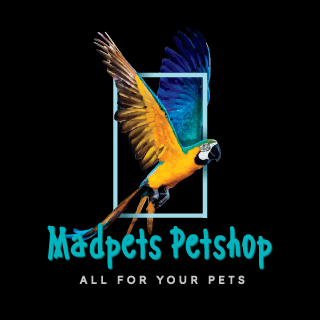 company's logo