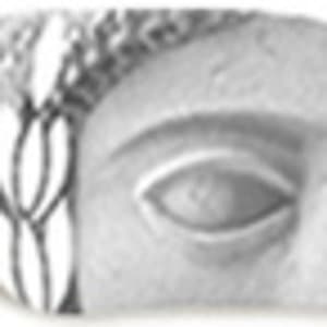company's logo