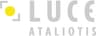 Company name