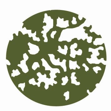 company's logo