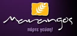 Company image