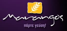 company's logo