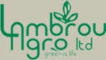 company's logo