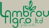 Company name