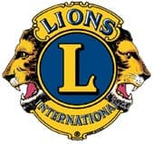 company's logo