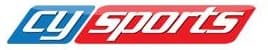 company's logo