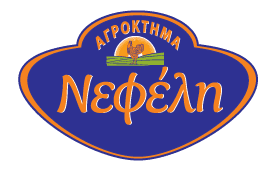 company's logo