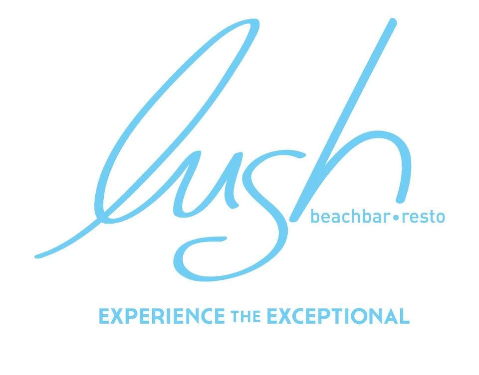 company's logo