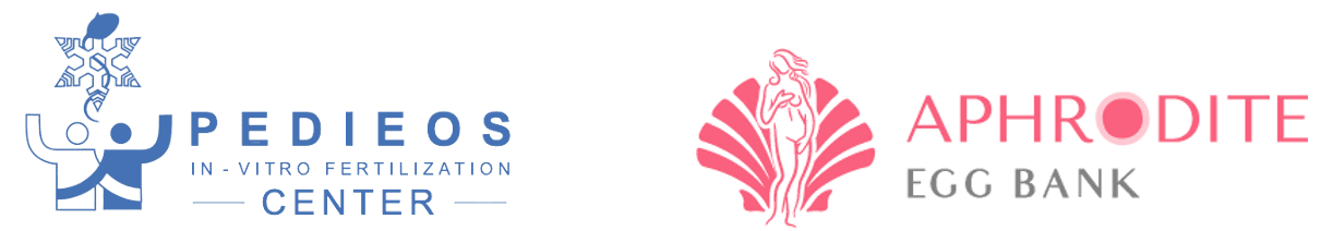 company's logo