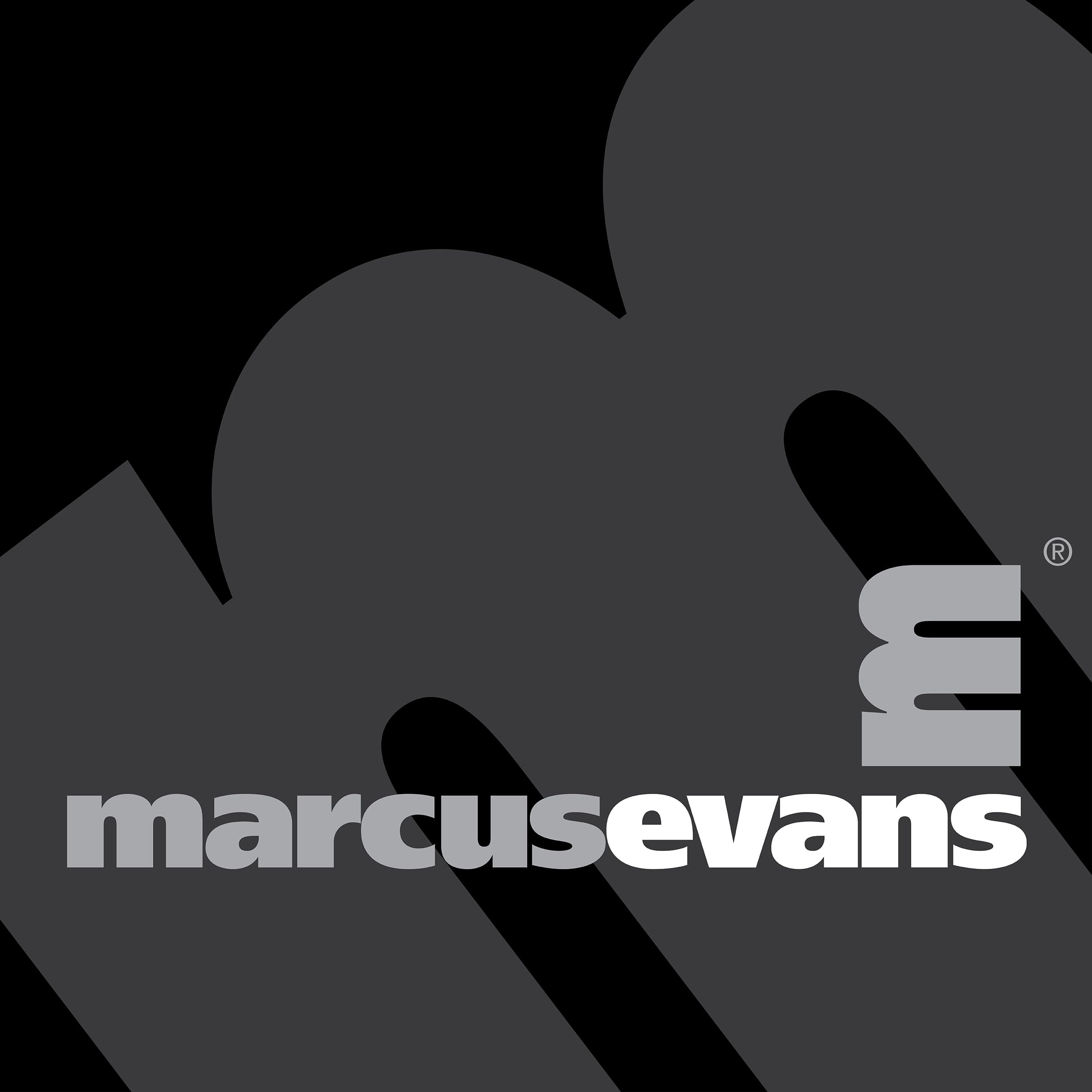 company's logo