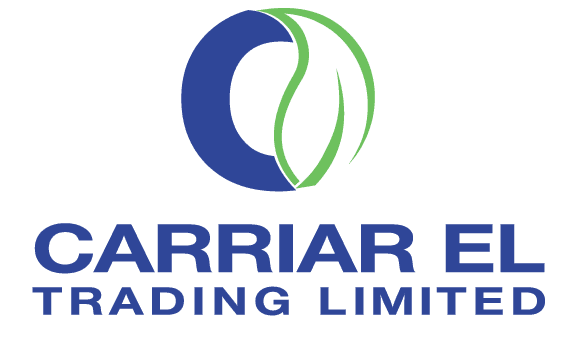 company's logo