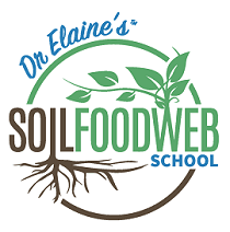 company's logo