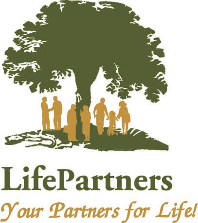 company's logo
