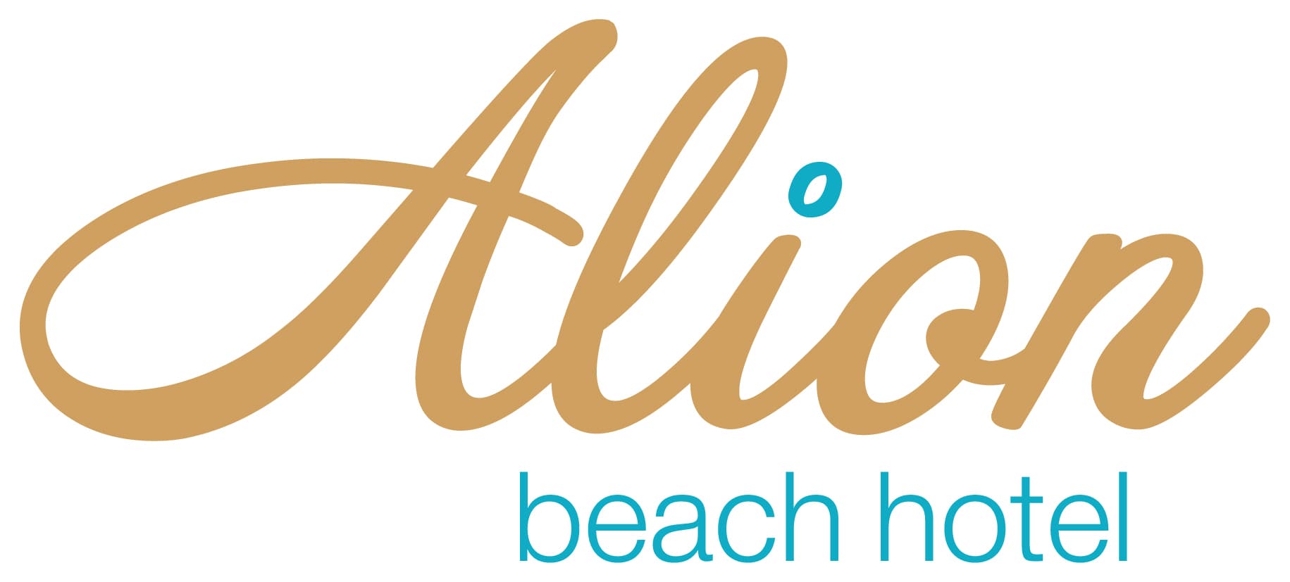 company's logo