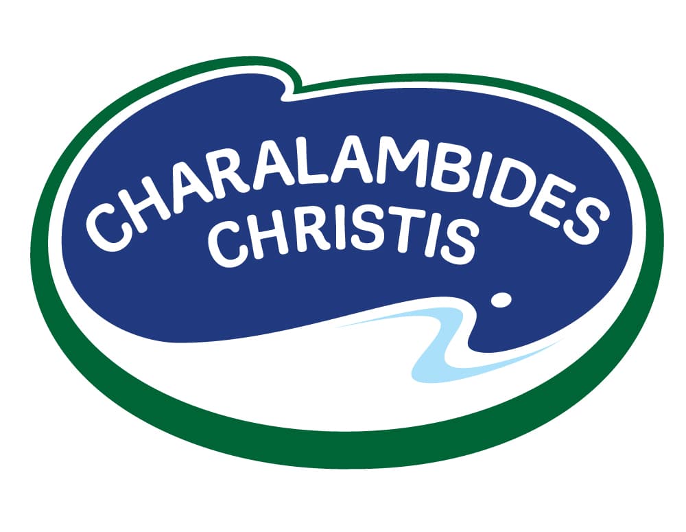 company's logo