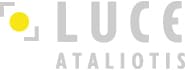 company's logo