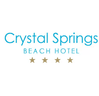 company's logo