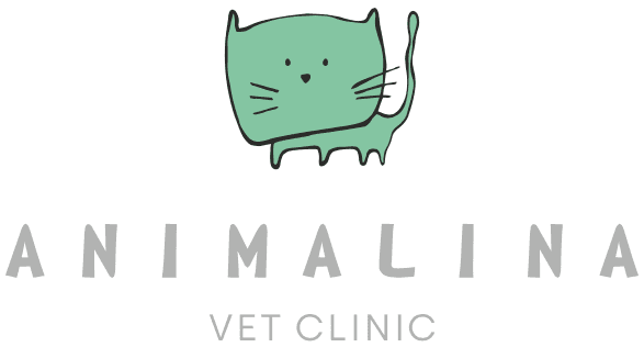 company's logo