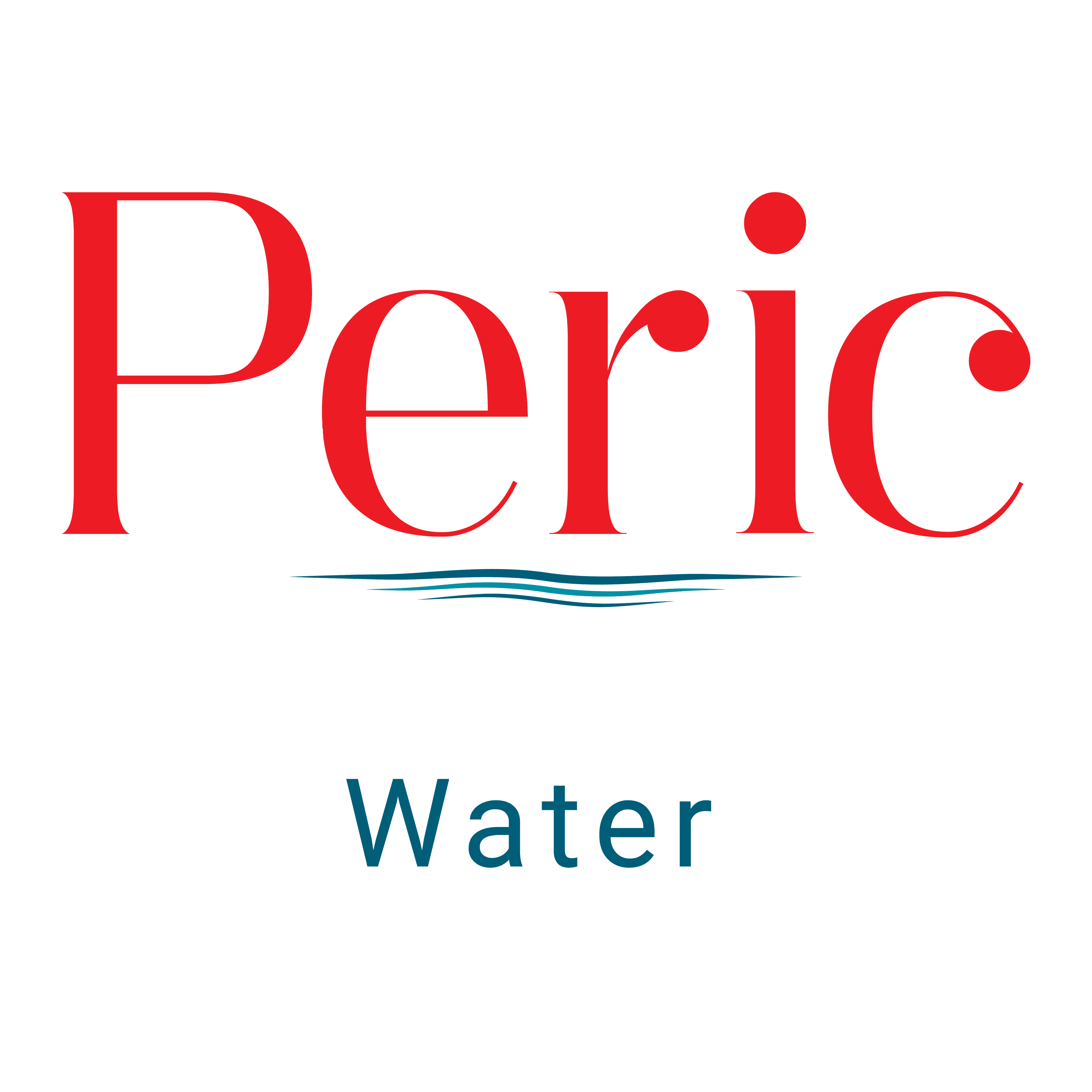 company's logo