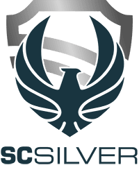 company's logo