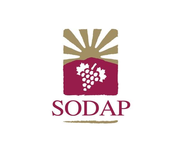 company's logo