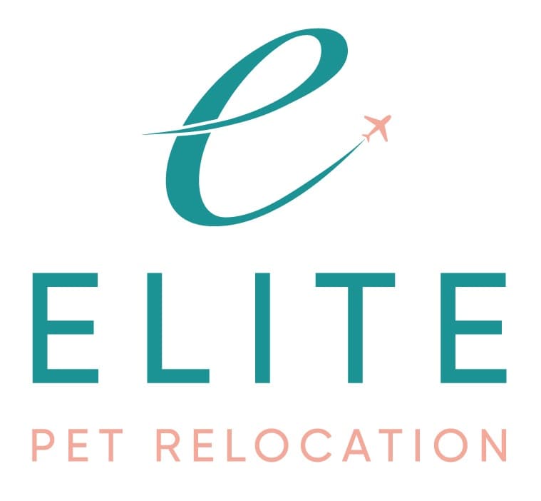company's logo