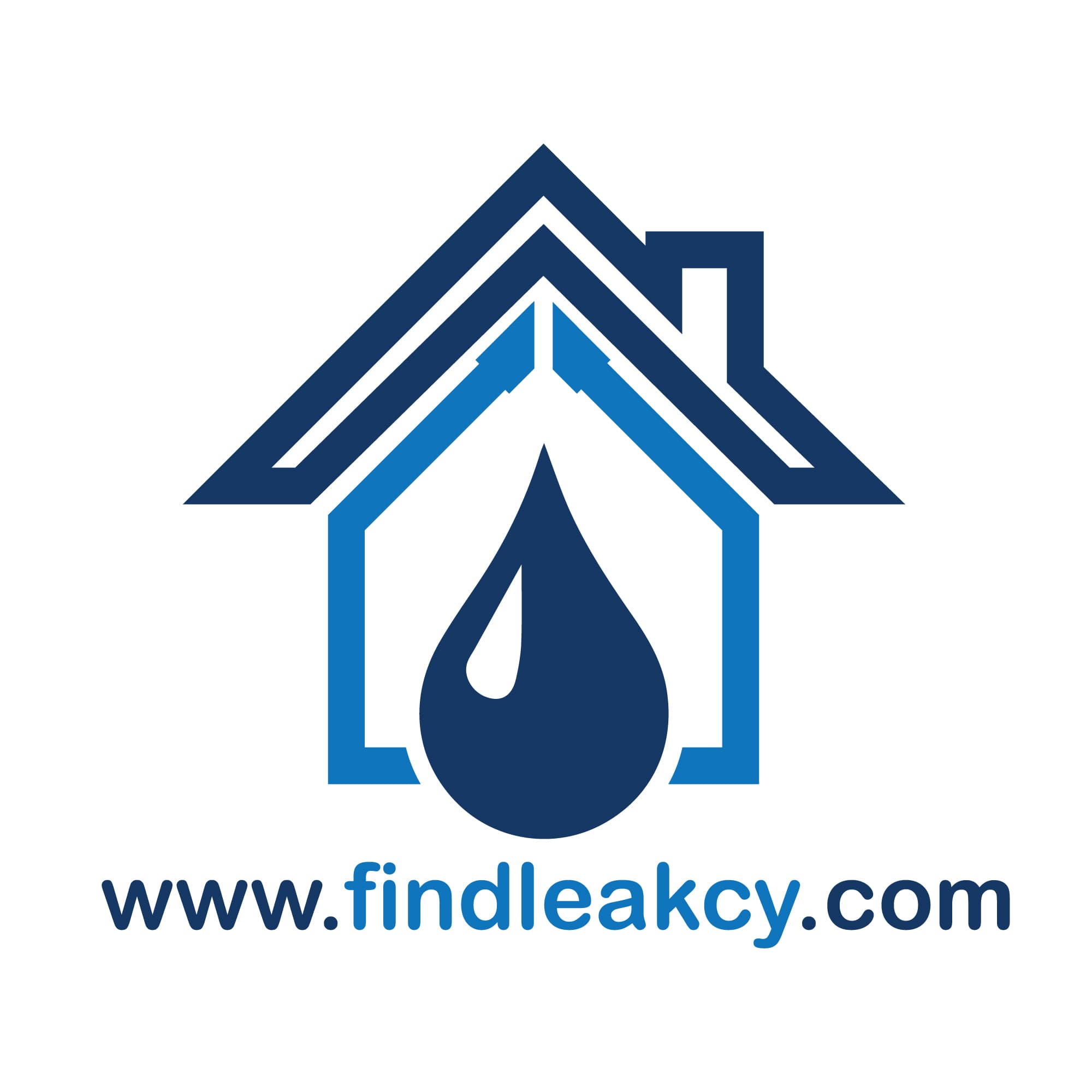 company's logo